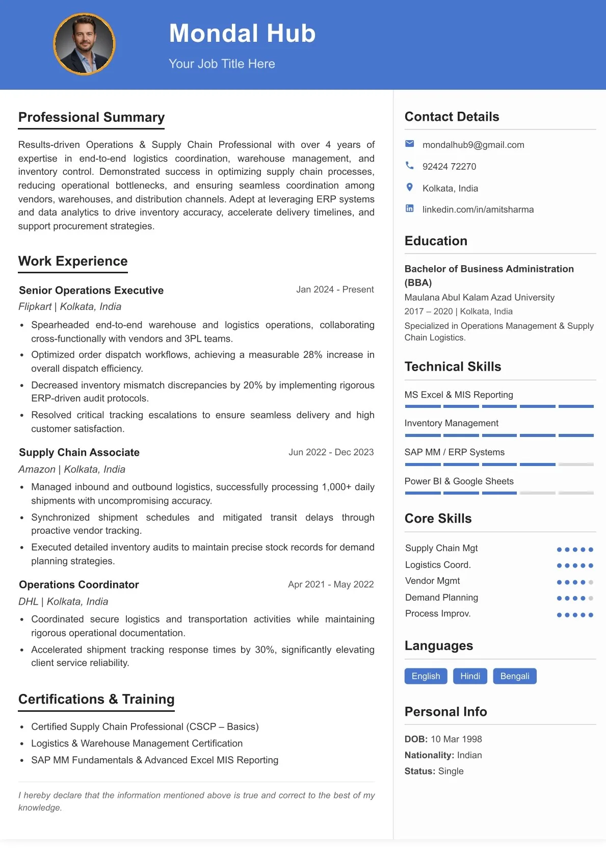 Professional Resume Framework 1