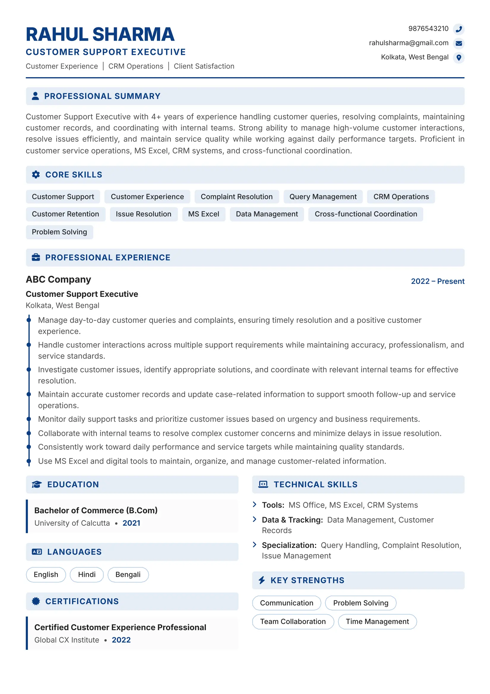 Professional Resume Framework 1