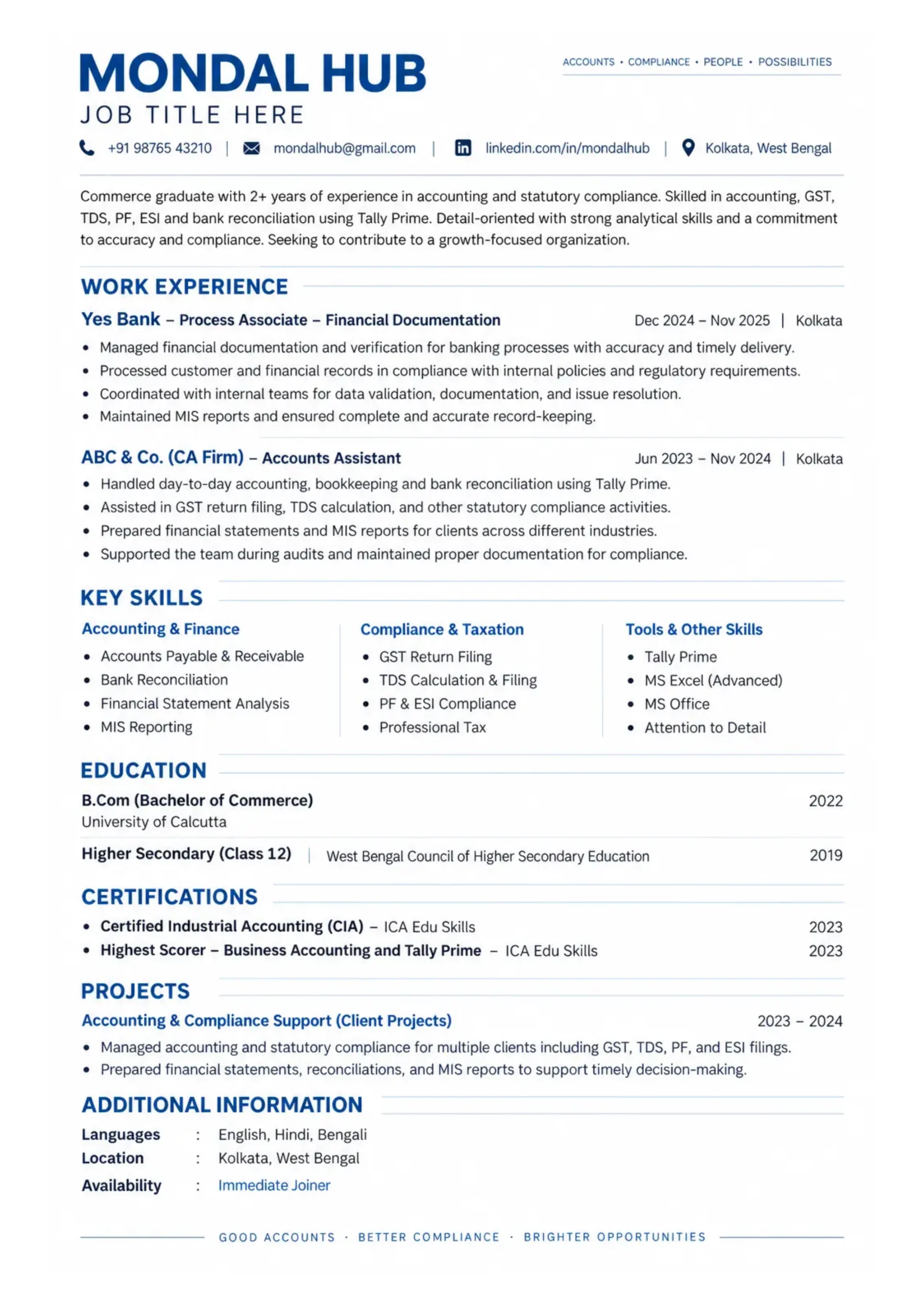 Professional Resume Framework 1