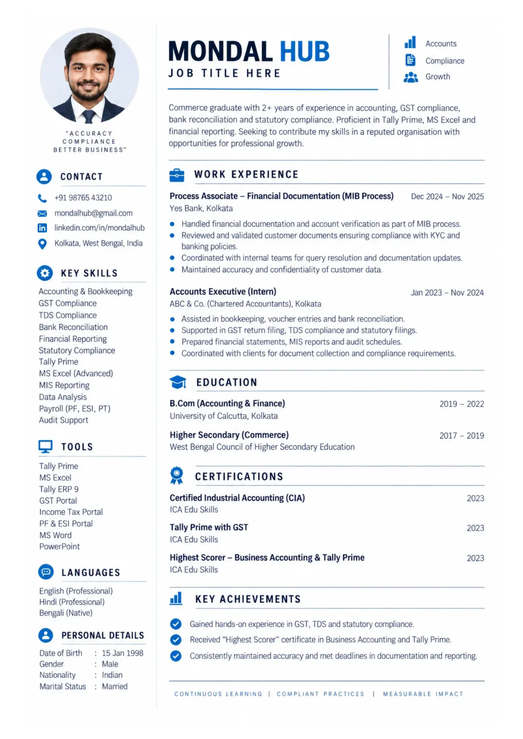 Professional Resume Framework 1